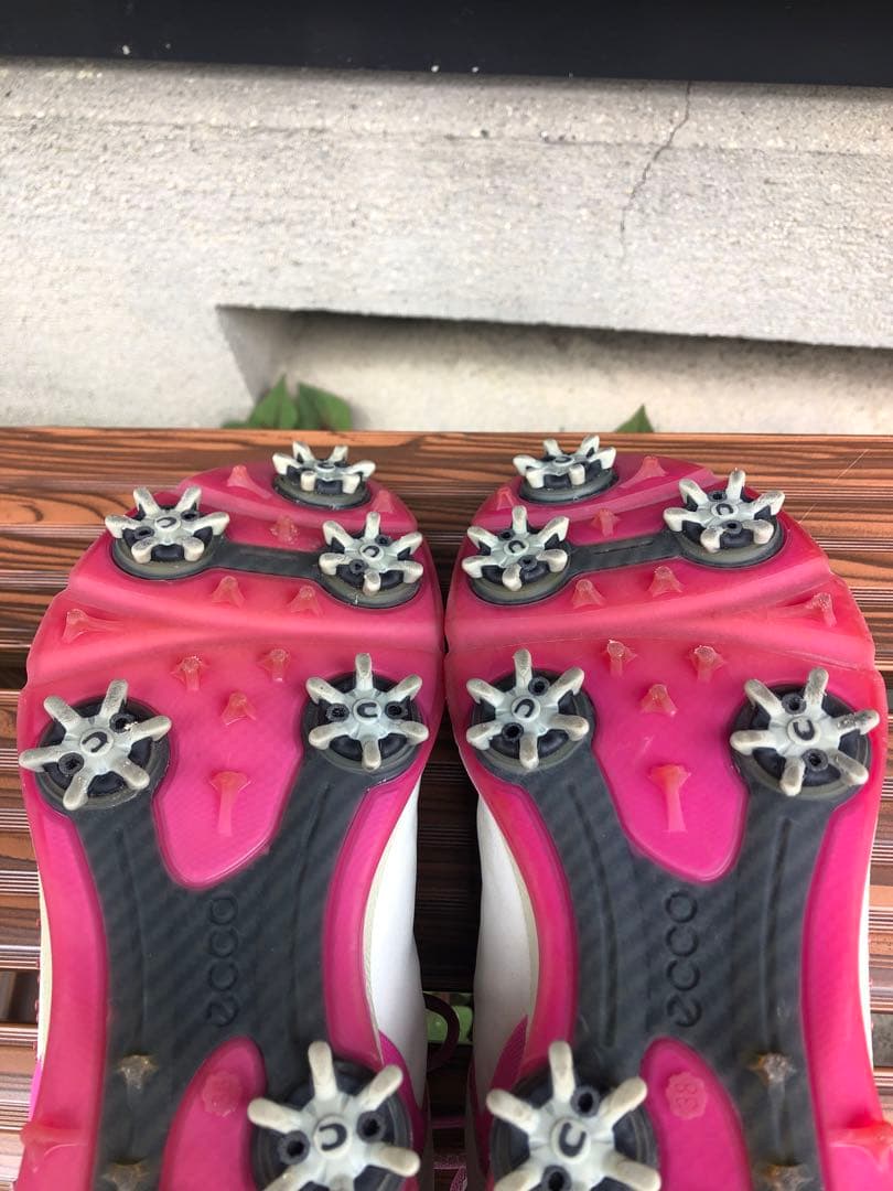 313番ECCOゴルフシューズ38 24.0cmソフトスパイクbiom