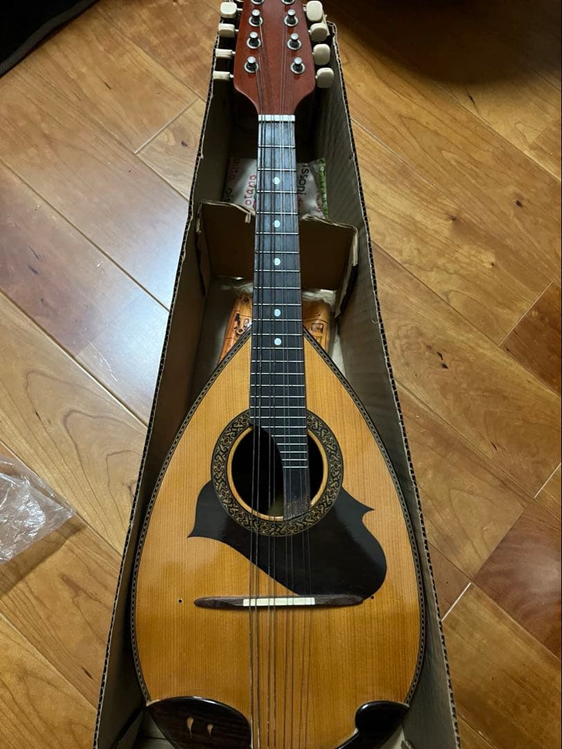 SUZUKI マンドリン M-215