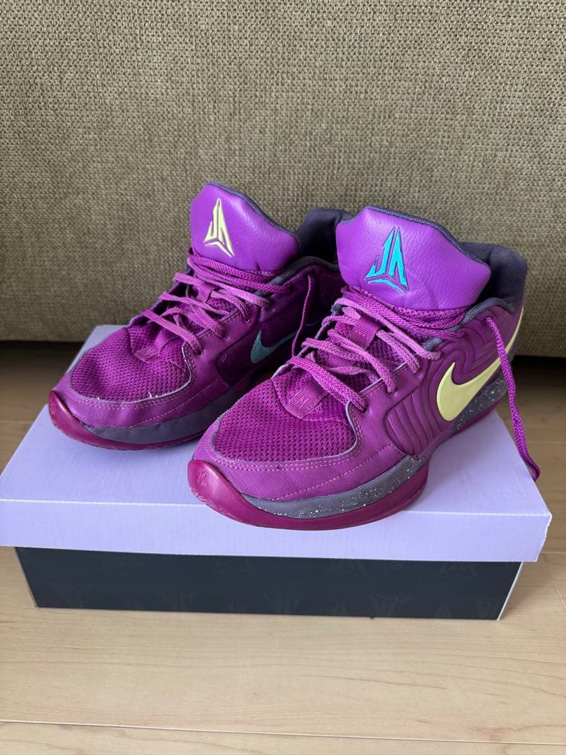テリーNIKE