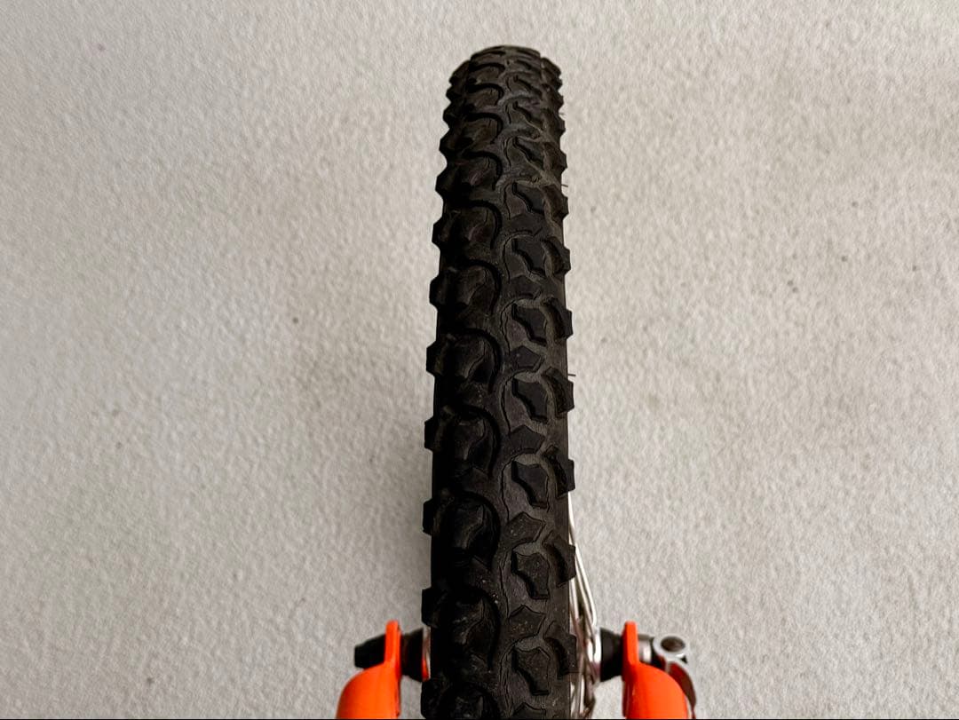 ルイガノ 22インチ 自転車 オレンジ