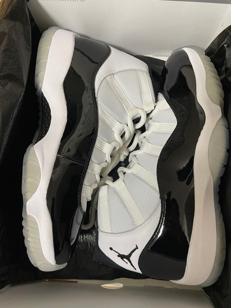 Air Jordan 11 Retro コンコルド 10.5