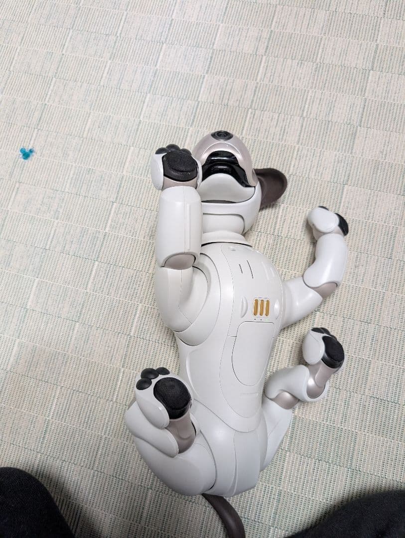ソニー aibo アイボ ペットロボット 家電 ERS-1000 【中古】