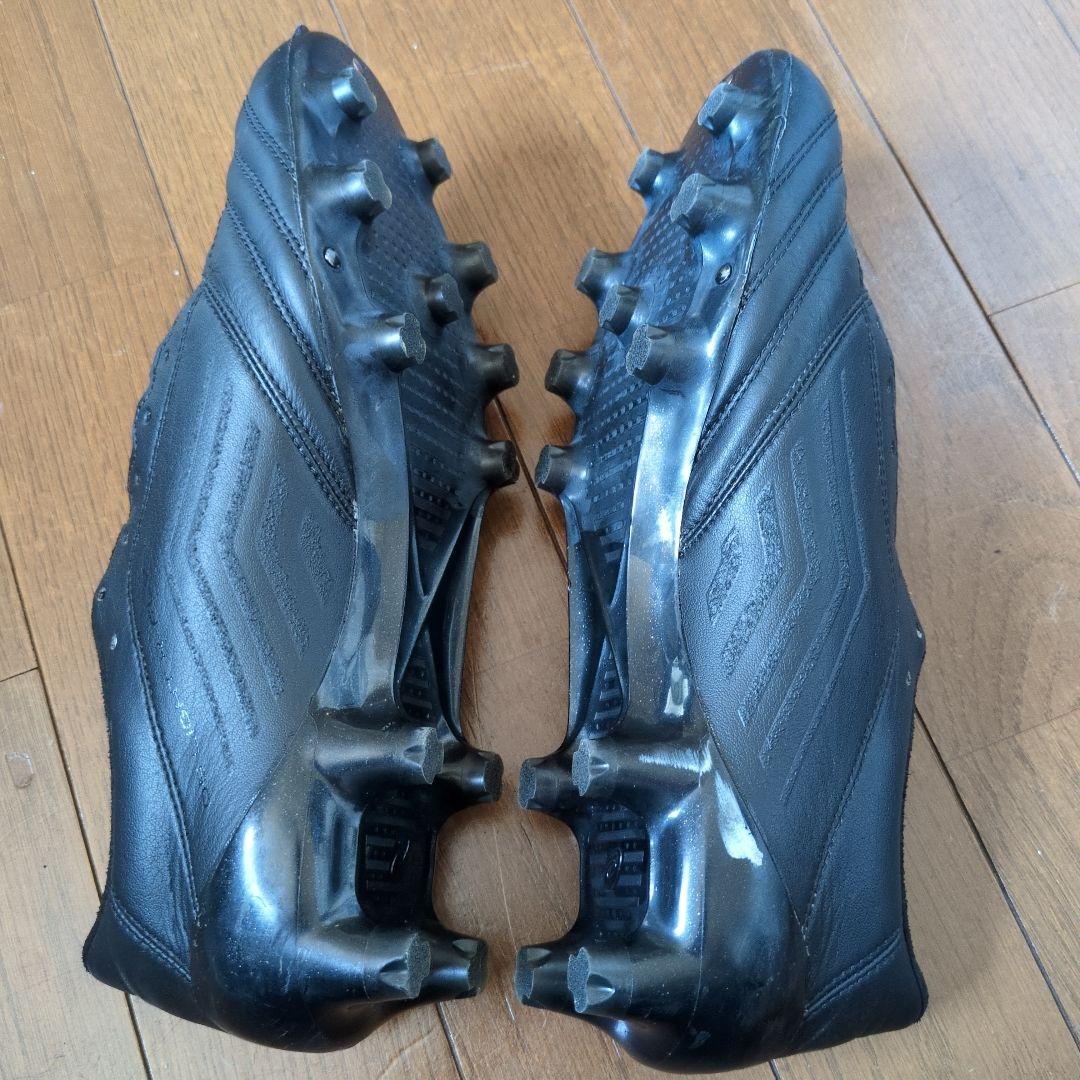 シューズ DS LIGHT X-FLY4 JAPAN