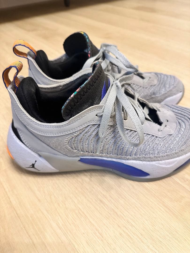 NIKE Jordan ルカ1 next nature PF 25.5cm