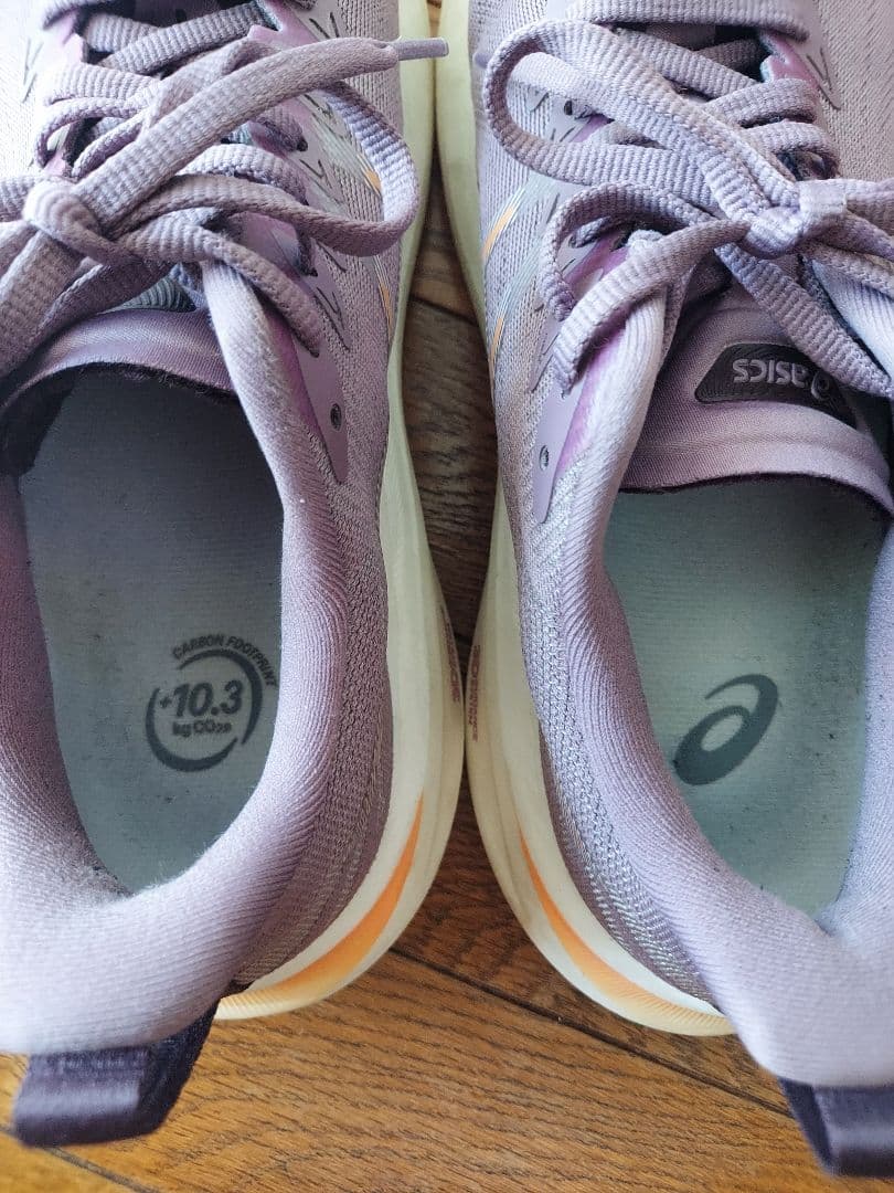 ASICS ランニングシューズ　25.5cm　GT2000 13