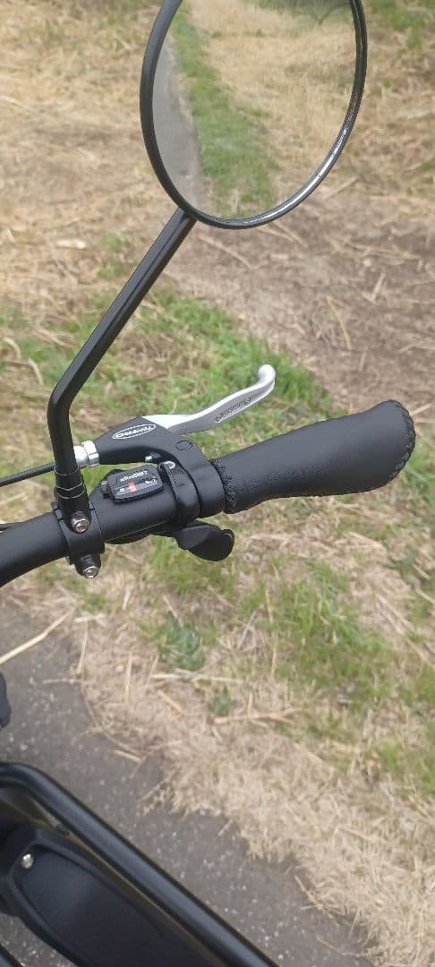 BRONX BUGGY ブロンクスバギー マットブラック 電動アシスト自転車