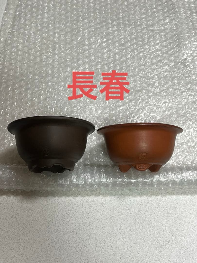 盆栽鉢　植木鉢　陶芸　園芸　盆栽　ガーデニング