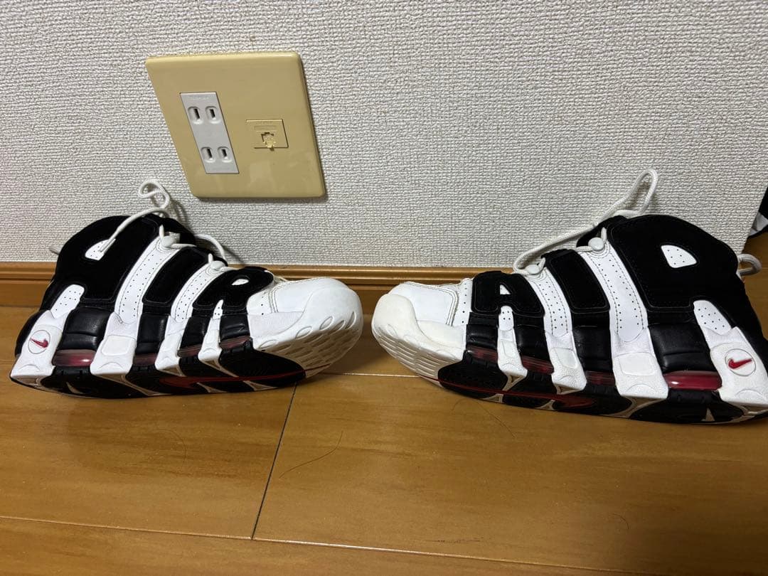 モアテン　ゼブラ26.5cm