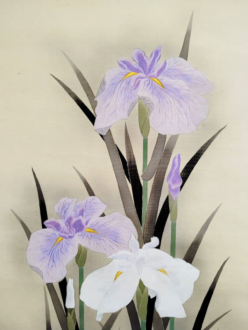 12-9　小川朝陽　菖蒲