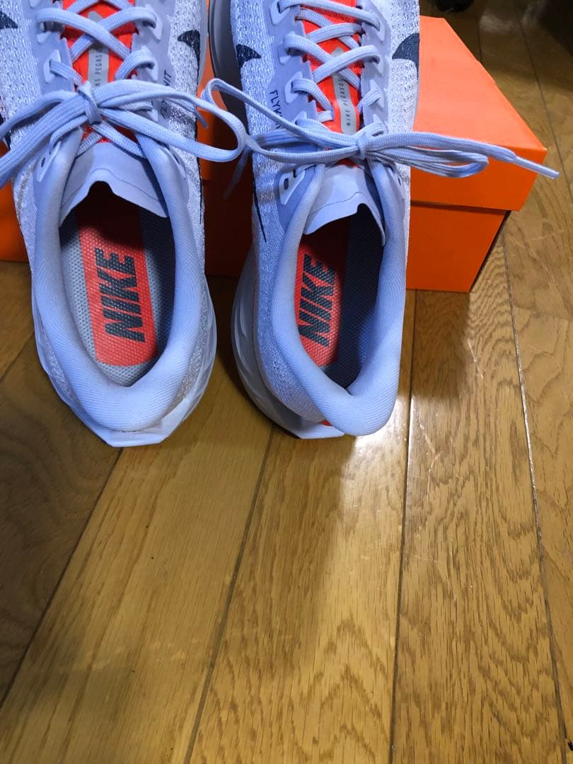 Nike　ナイキ　ペガサス プラス　27.5cm　メンズ