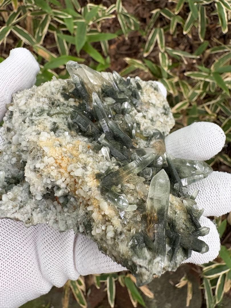 【匿名発送】ガネッシュヒマール産 クローライト、アンフィボール内包水晶