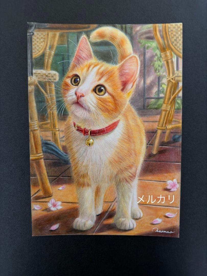 色鉛筆画A4 春をみつけた仔猫