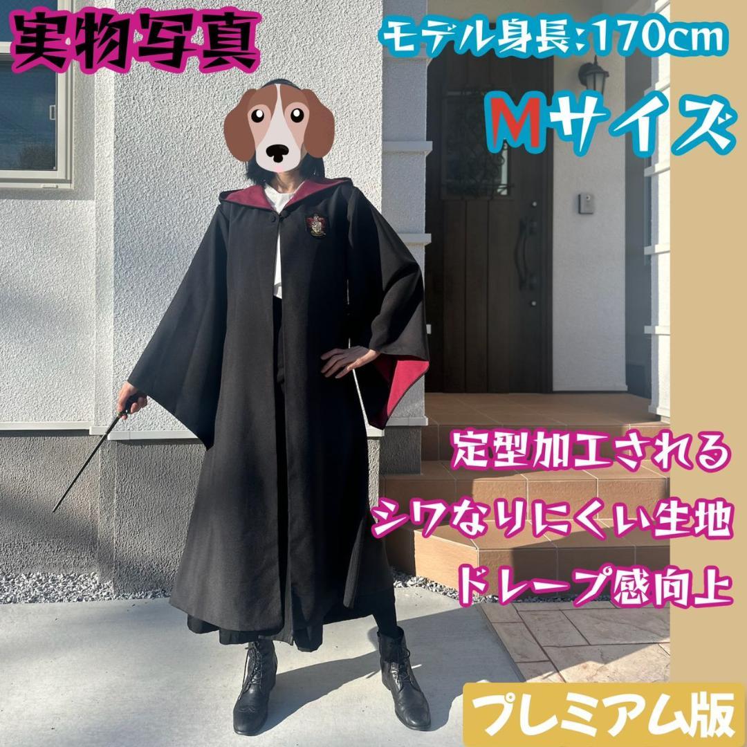 【プレミアム版】ハリーポッター カチューシャ付 超得３点 グリフィンドール