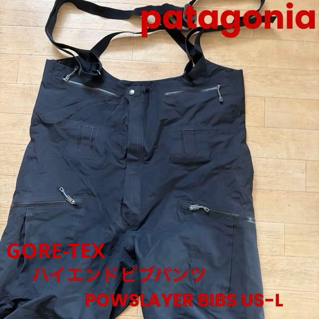 必見 Patagonia ハイエンドビブ POWSLAYER BIBS US-L