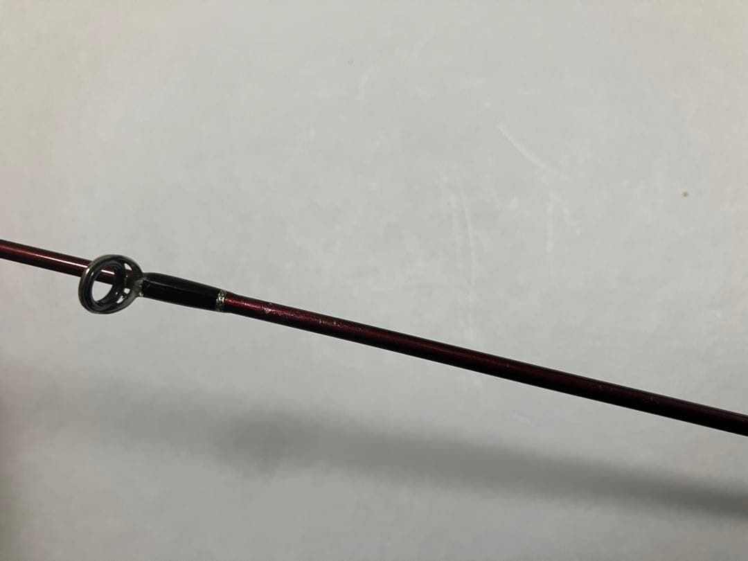 フィッシュマン ビームス ローワー 7.3L