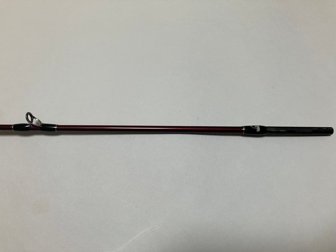 フィッシュマン ビームス ローワー 7.3L