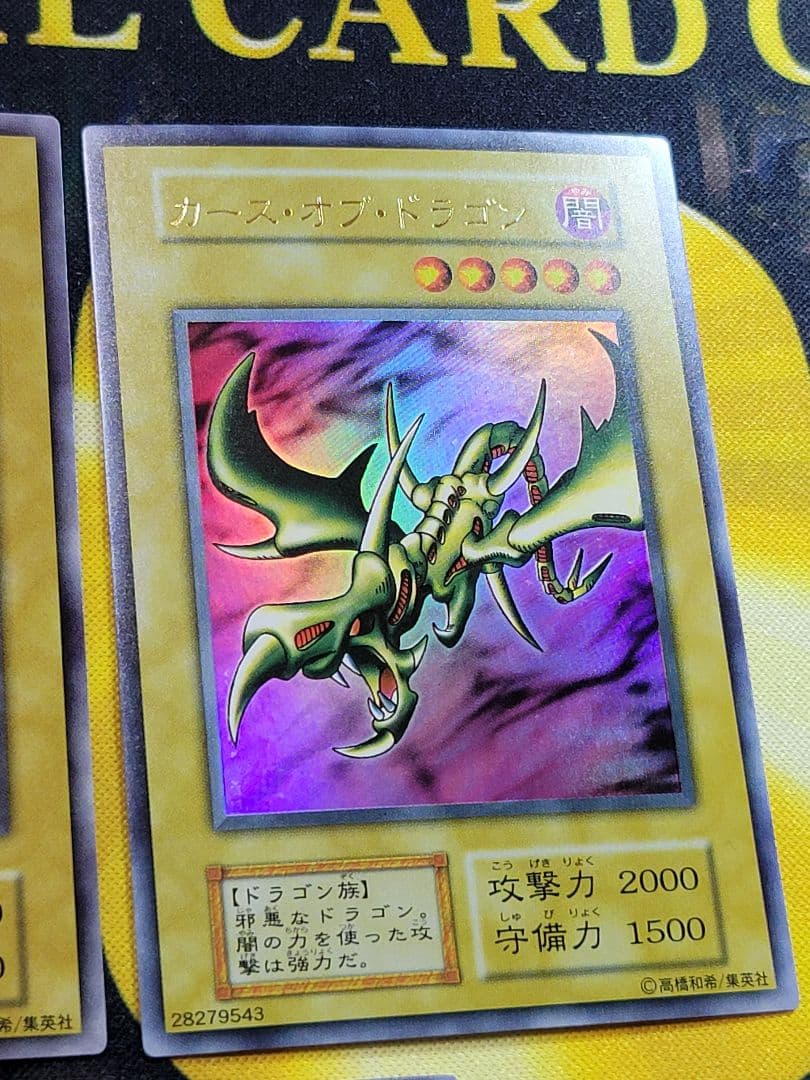[遊戯王] ホーリー・エルフ カース・オブ・ドラゴン 光の護封剣