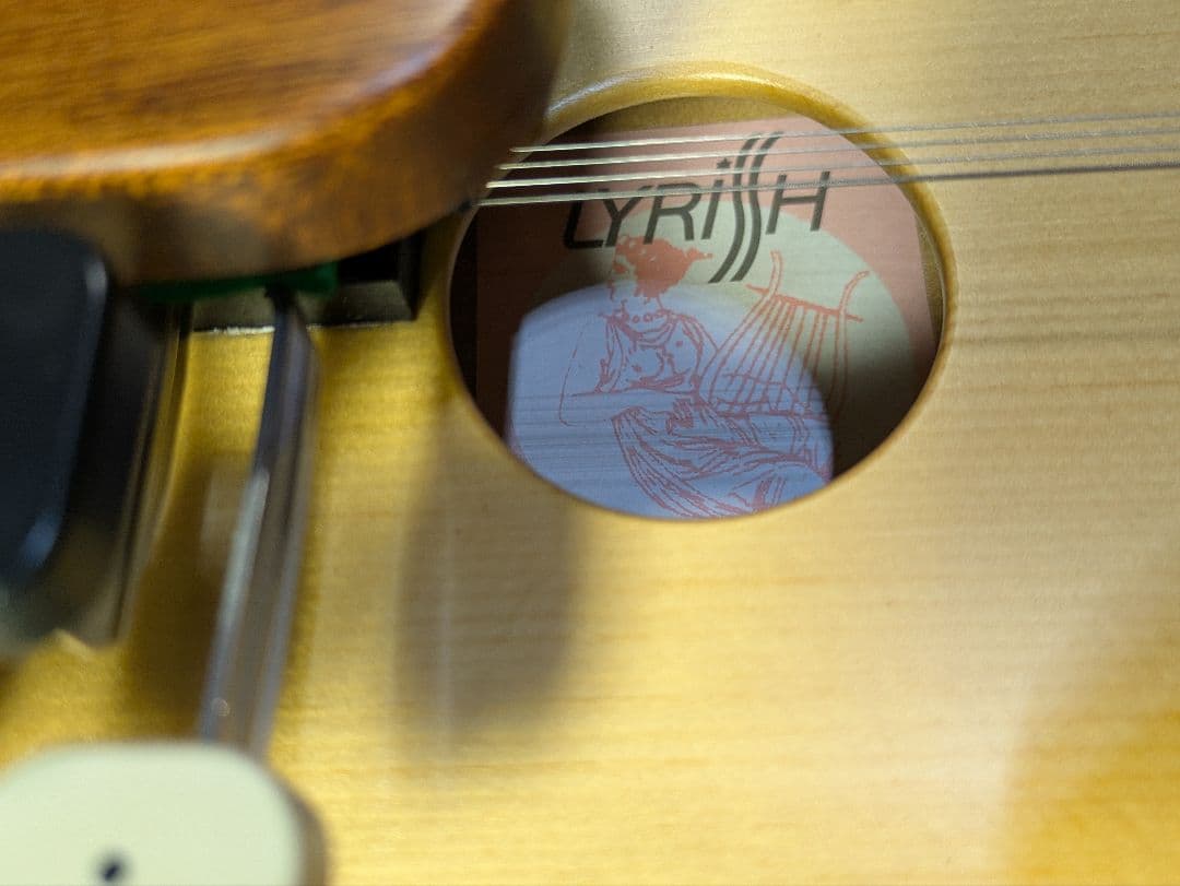 大正琴　LYRISSH　ライリッシュ　専用ケース付