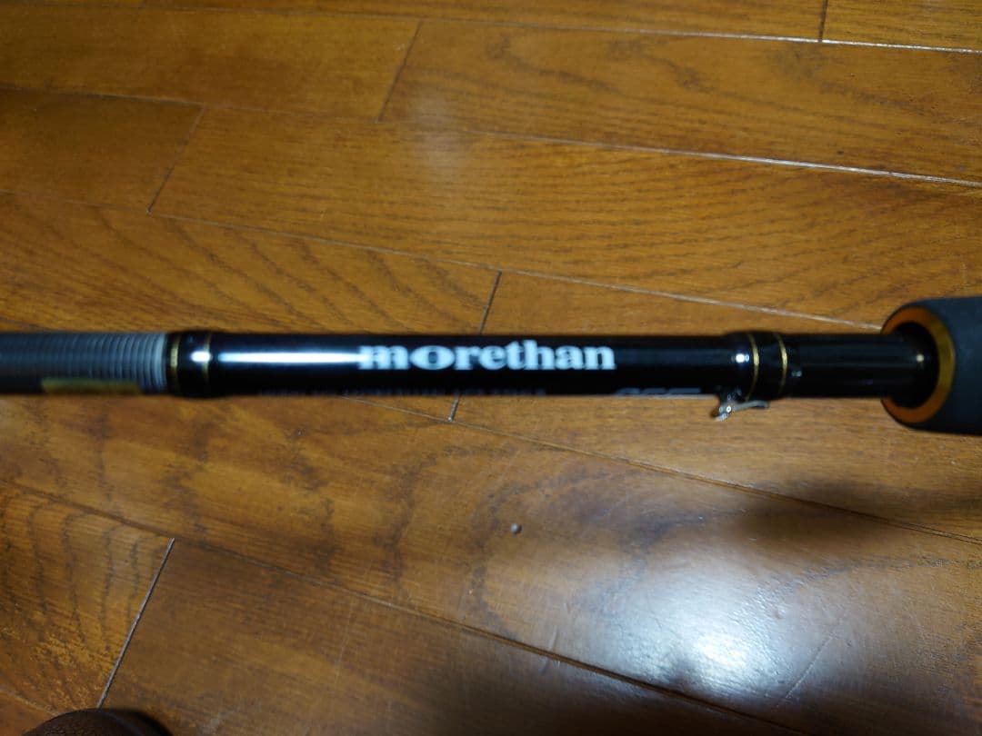 ダイワmorethan AGS 97MLB シーバスロッド。