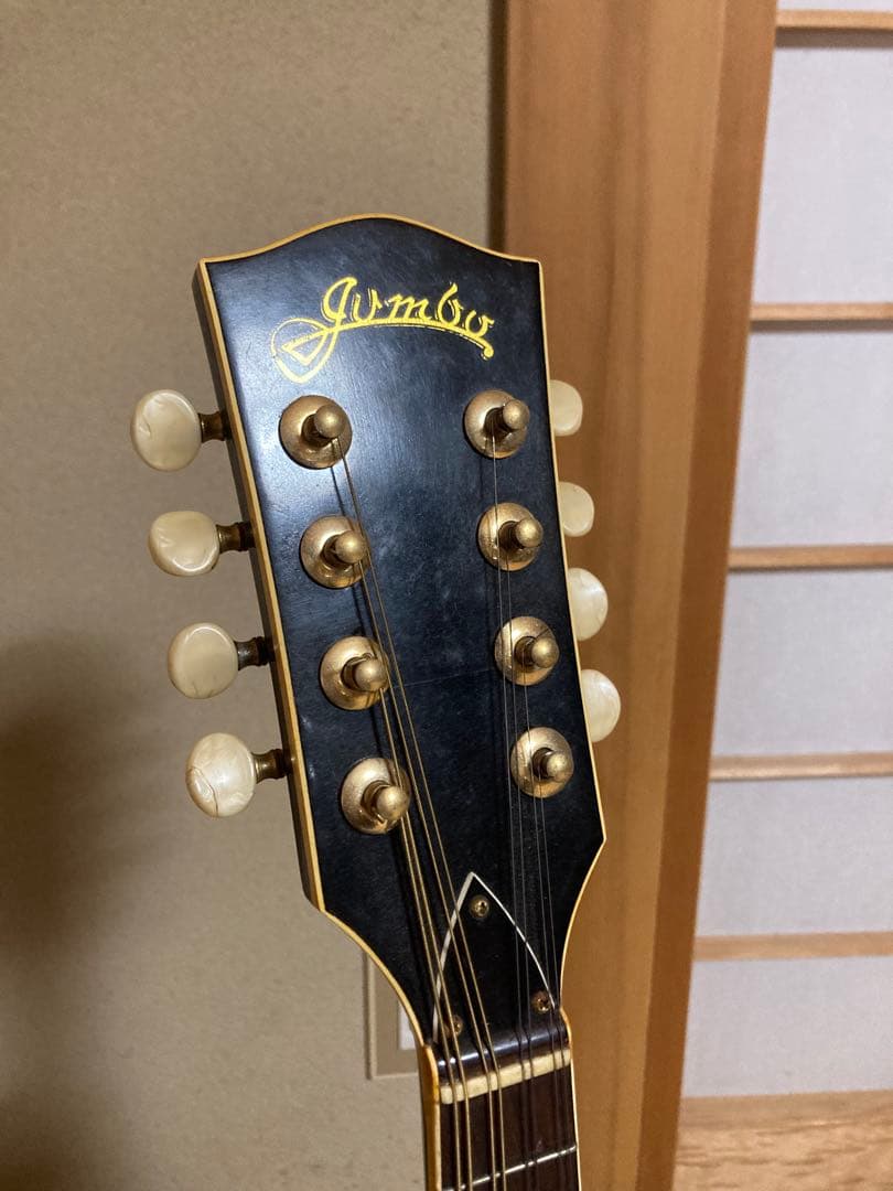 JUMBO ジャンボ JM-50 フラットマンドリン