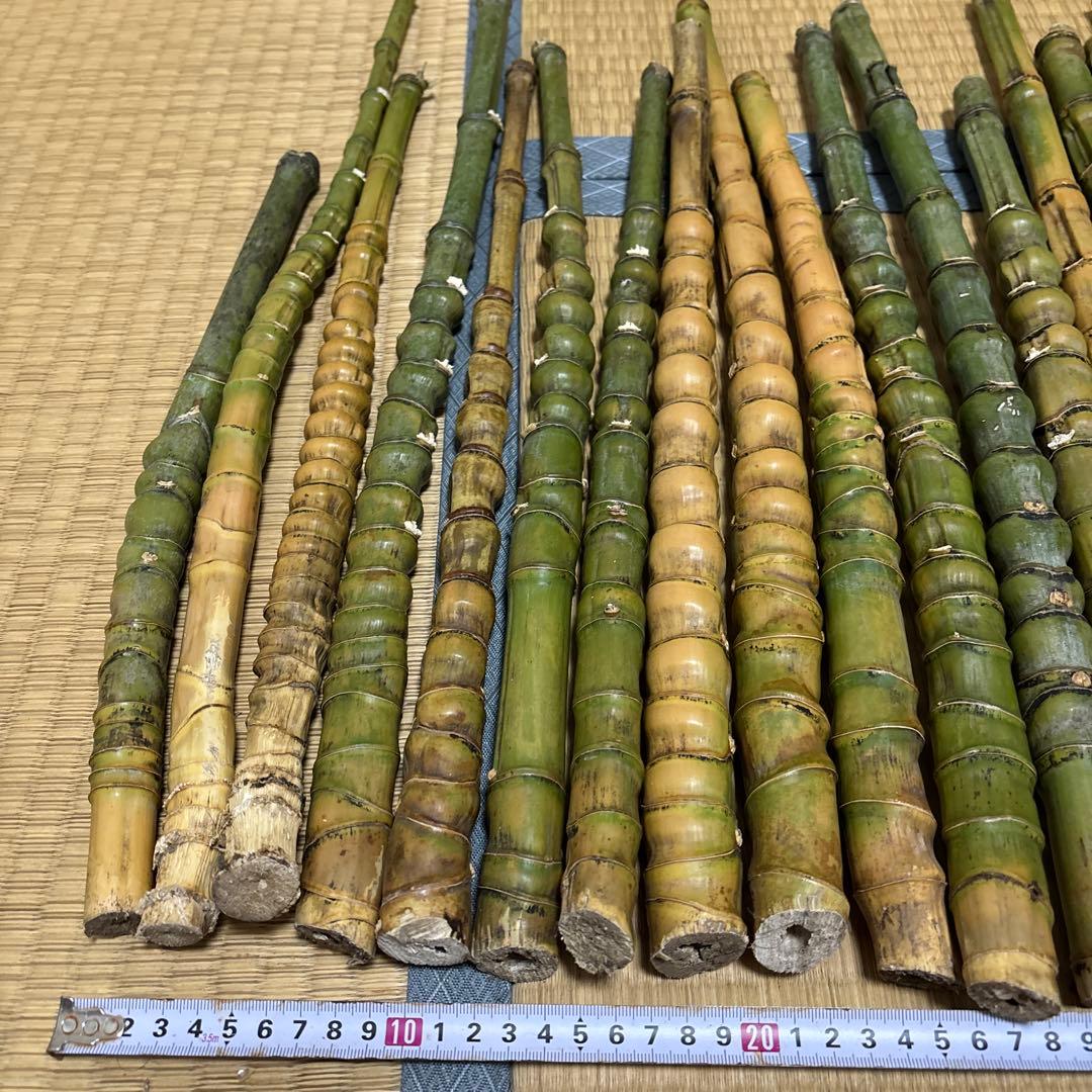 布袋竹 釣りロードグリップ用竹 27本セット400-500mm 40-50cm