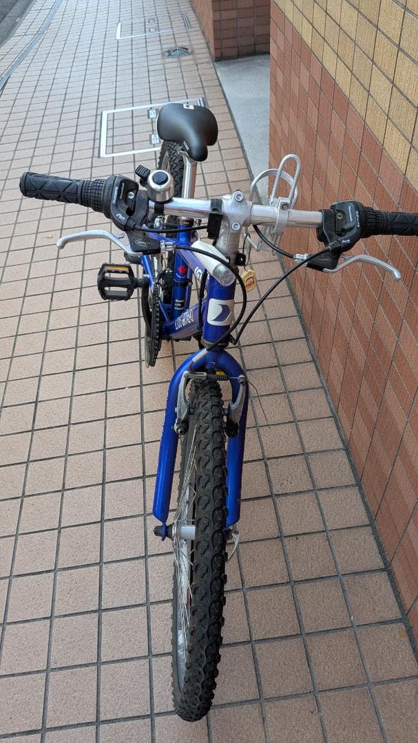 ルイガノ　キッズ向け