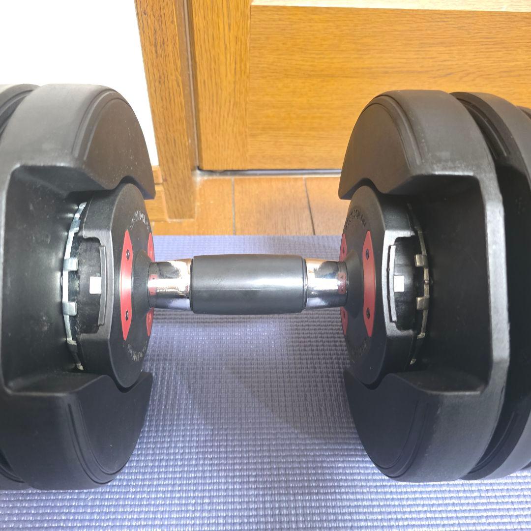 307】初心者用　HAIGEハイガー　可変式ダンベル　24kg×1個 送料込み➀