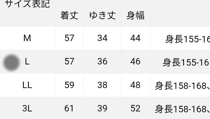 DELSOLセットアップ レディース ゴルフ