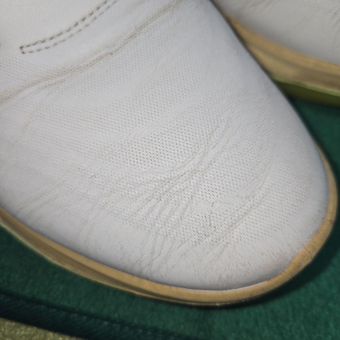 ECCO メンズシューズ EU41(JPN25.5cm) レザーソフトオイル付き