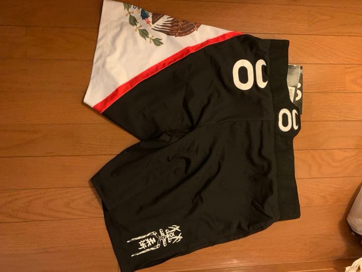 ウエイトトレーニング MMA shorts