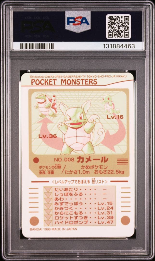 1998年　ポケモン　ポケットモンスター　シールダス　 ゼニガメ　カメール