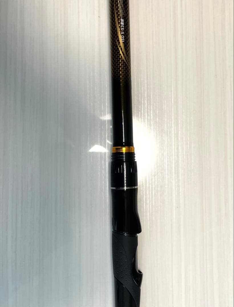 Daiwa トーナメント　5-53遠投
