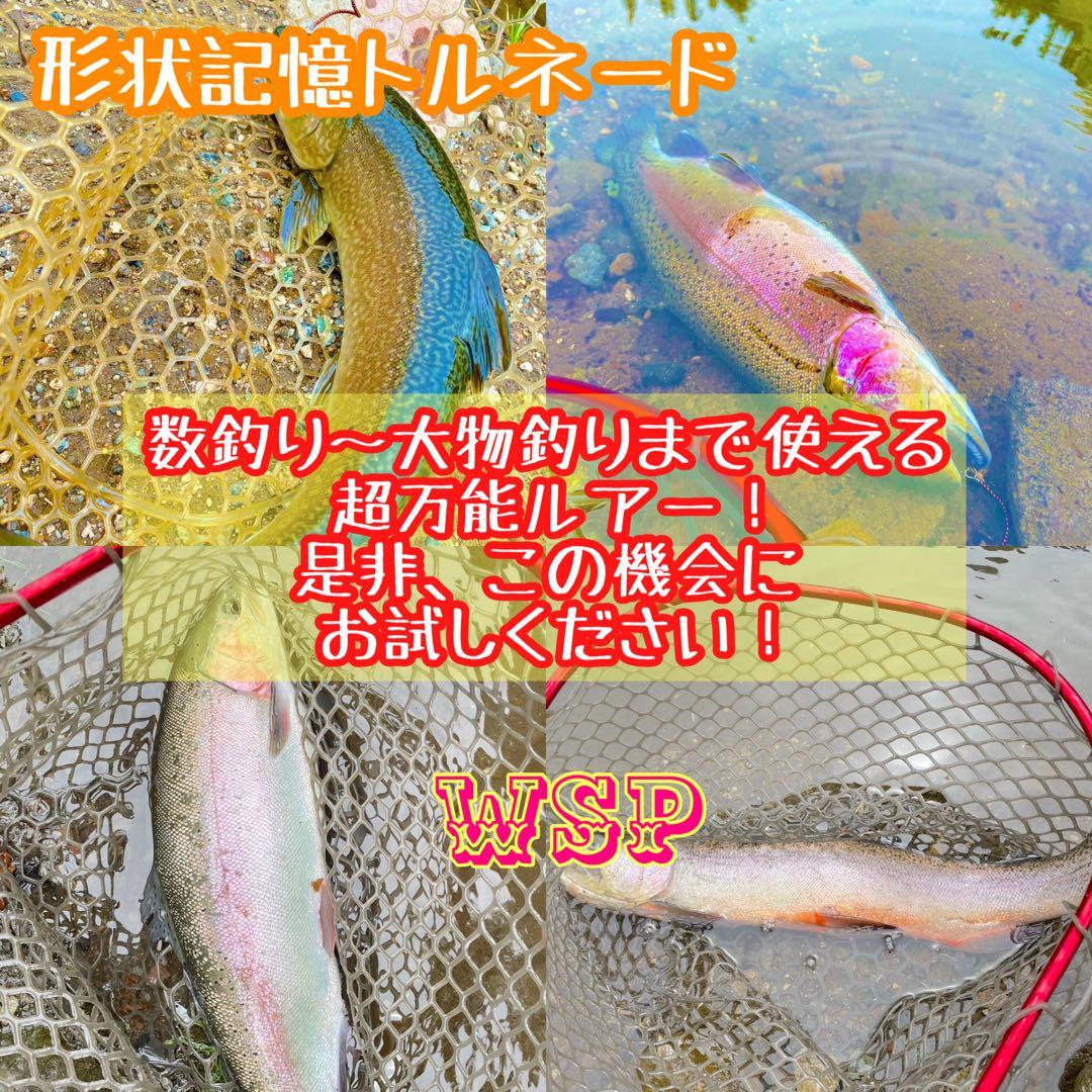 WSP ワスプ 形状記憶 巻き直し不要 エリアトラウト みえオーダー品