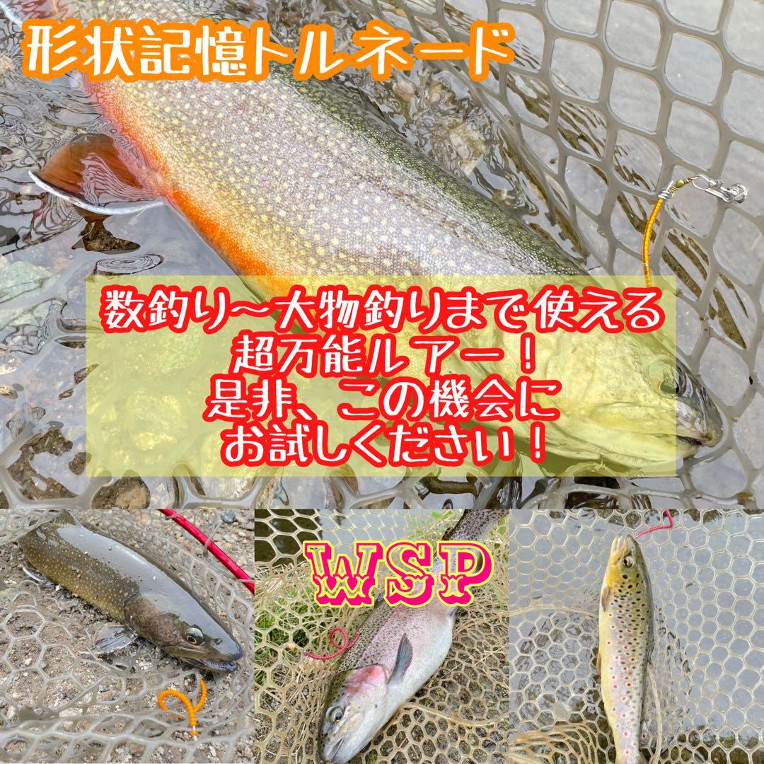 WSP ワスプ 形状記憶 巻き直し不要 エリアトラウト みえオーダー品