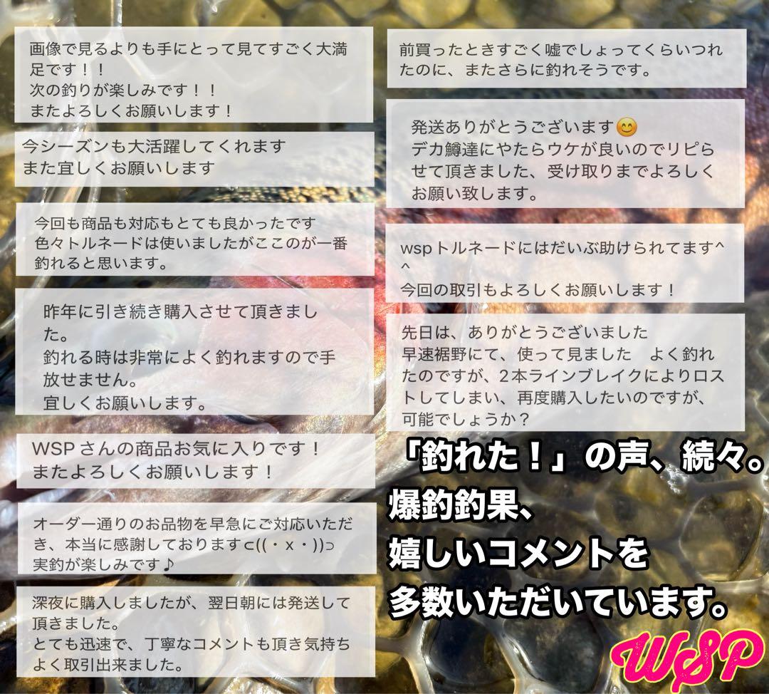 WSP ワスプ 形状記憶 巻き直し不要 エリアトラウト みえオーダー品