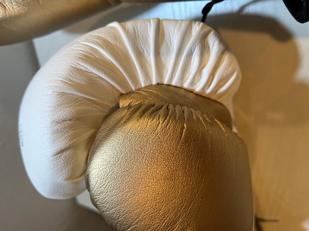 【限定値下げ中】RIVAL RS100 SPARRING GLOVE 14oz