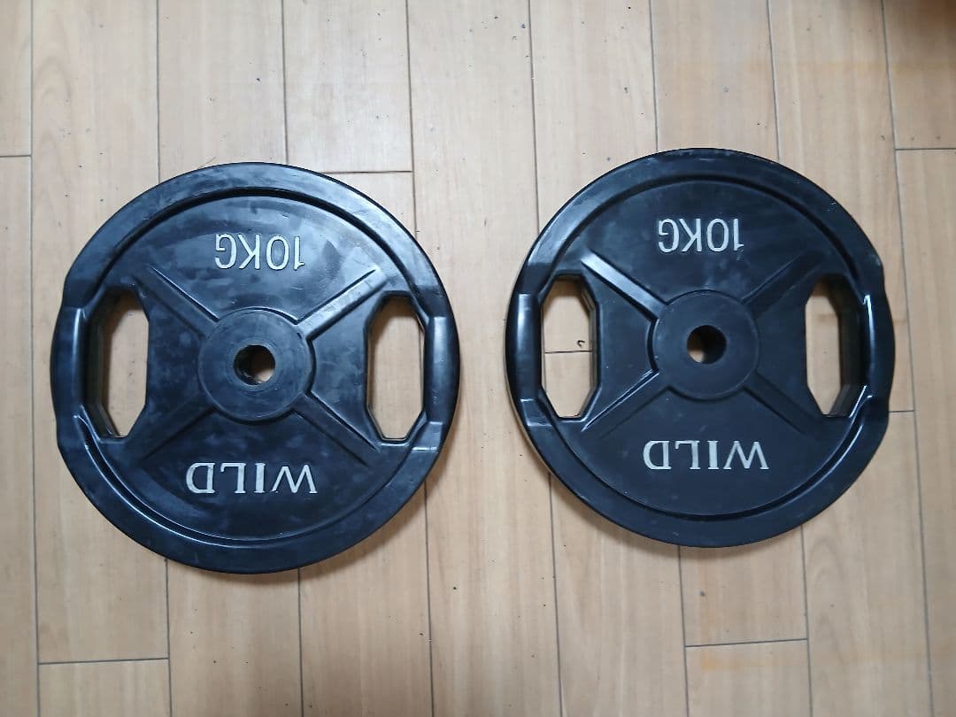 WILD FIT プレート10kg x 2枚 計20kg
