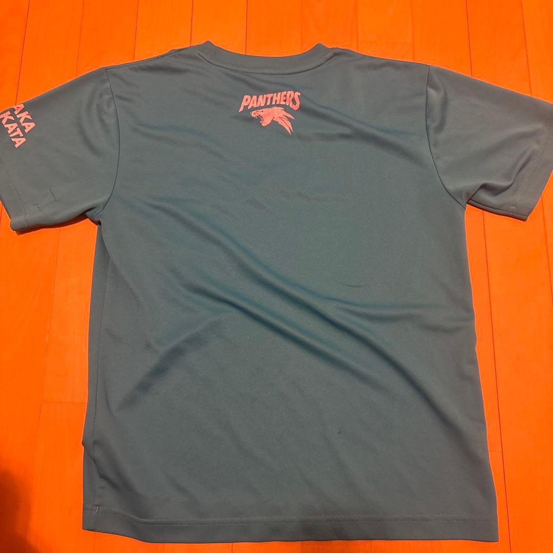 元Panthers Jr. 現　ブルテオン バレーボールTシャツ　 非売品激レア