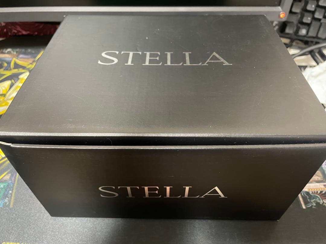リール SHIMANO 19 STELLA SW14000XG