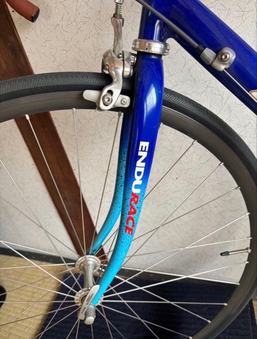 Shunt@　de rosa endu race クロモリ
