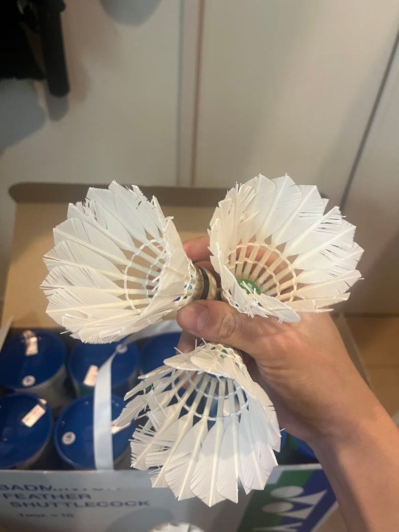 Kei YONEX AS-700 フェザーシャトル 1ダース