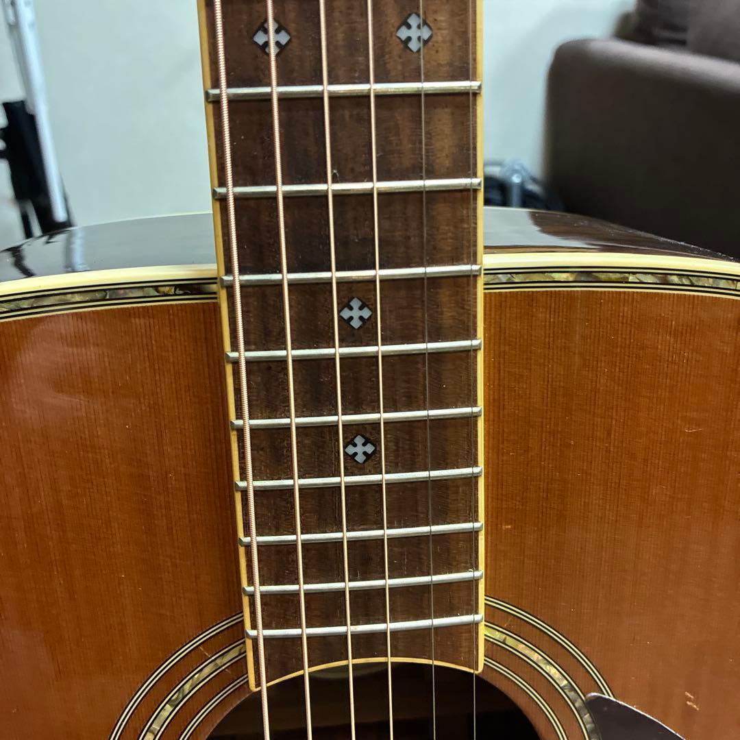 Greg Bennett D-8 アコースティックギター