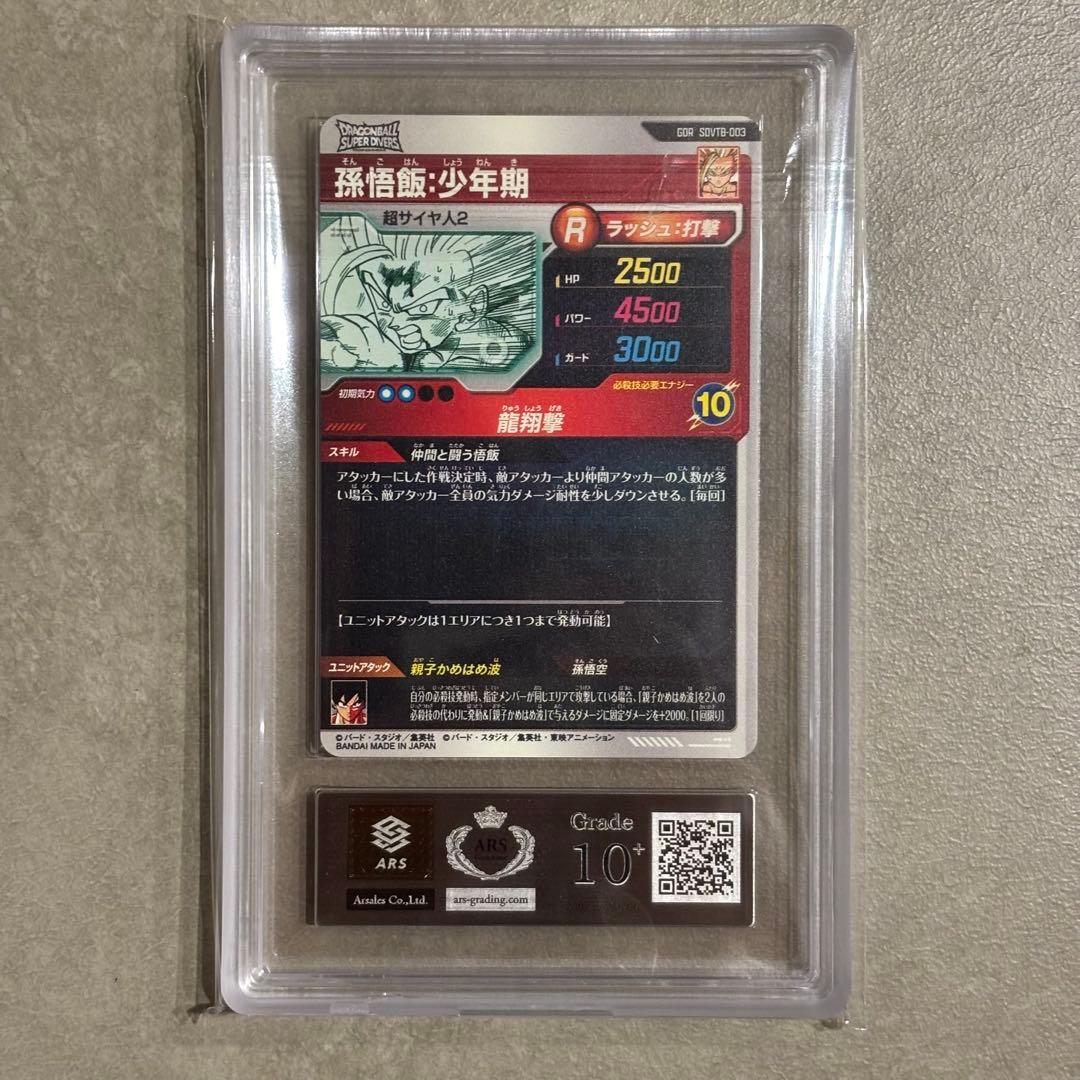 【ARS10＋(最高評価)】 ダイバーズ　9ポケットバインダーセット　フルコンプ