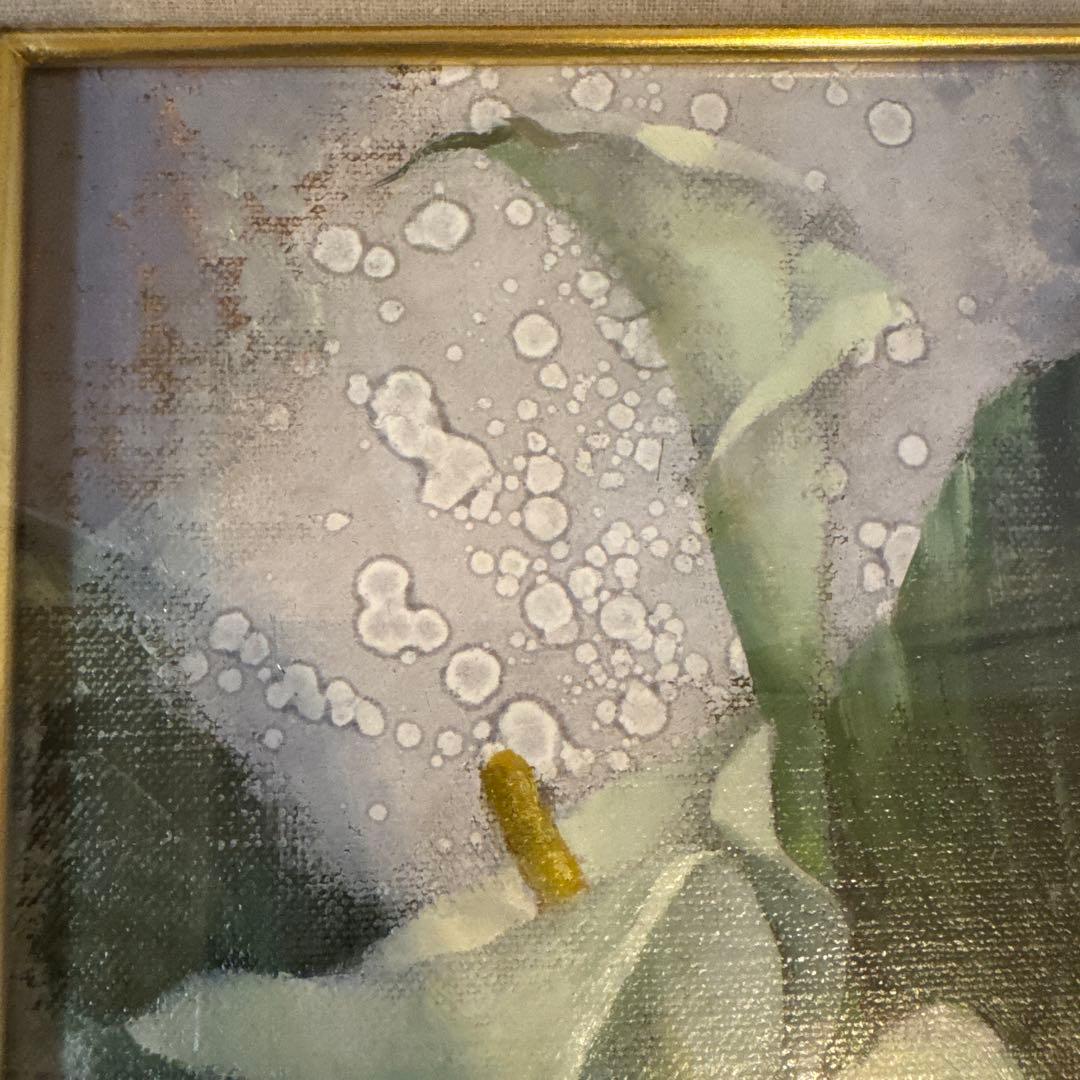 三越美術部取扱 川畑太「カラ―」2010年個展作品 額装 絵画 花 カラー