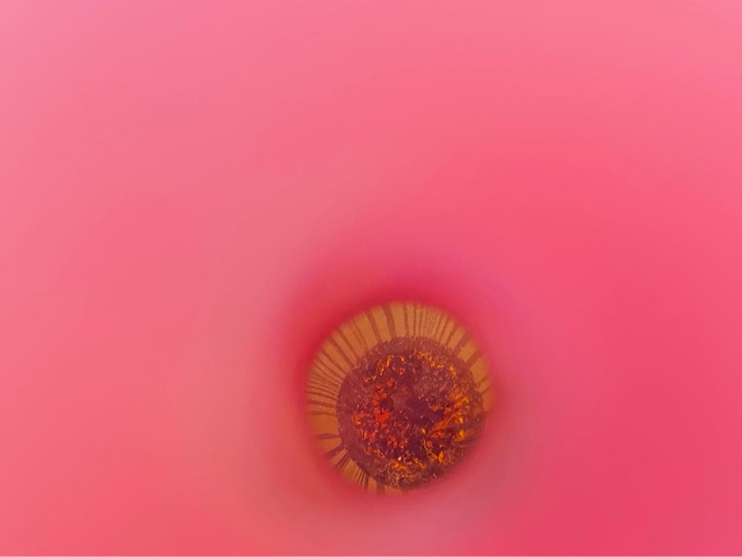 希少 一輪挿し 花瓶 大正ガラス