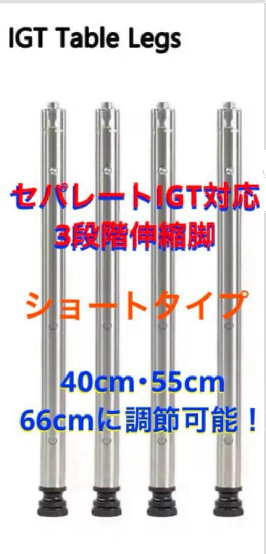 【希少】セパレートIGT 1ユニット スノーピークIGT型 peak