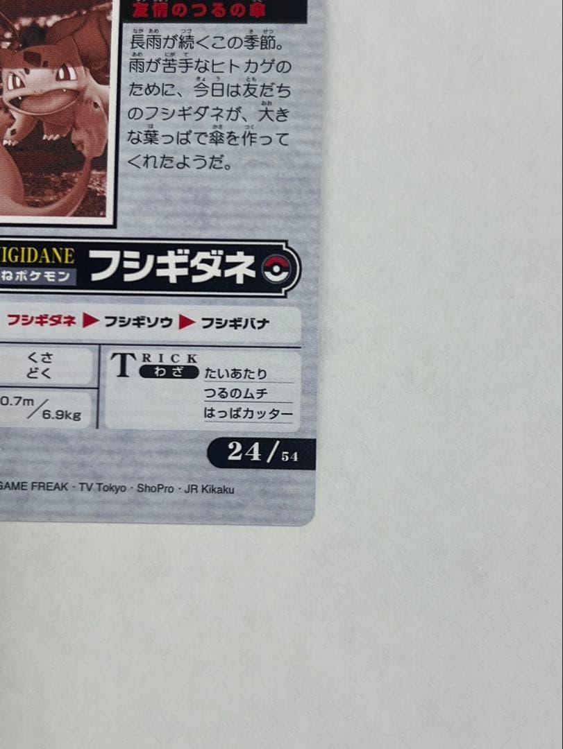 ポケモンウィークリーカード No.24 フシギダネ ヒトカゲ