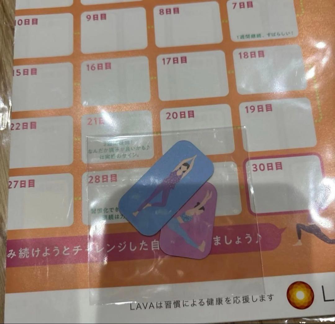 新品SUKALAホワイトメッシュタンクトップMコードチャームケースノベルティ付き