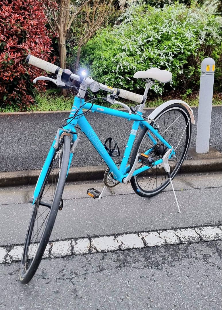 GIANT ESCAPE Ri5 クルスバイク