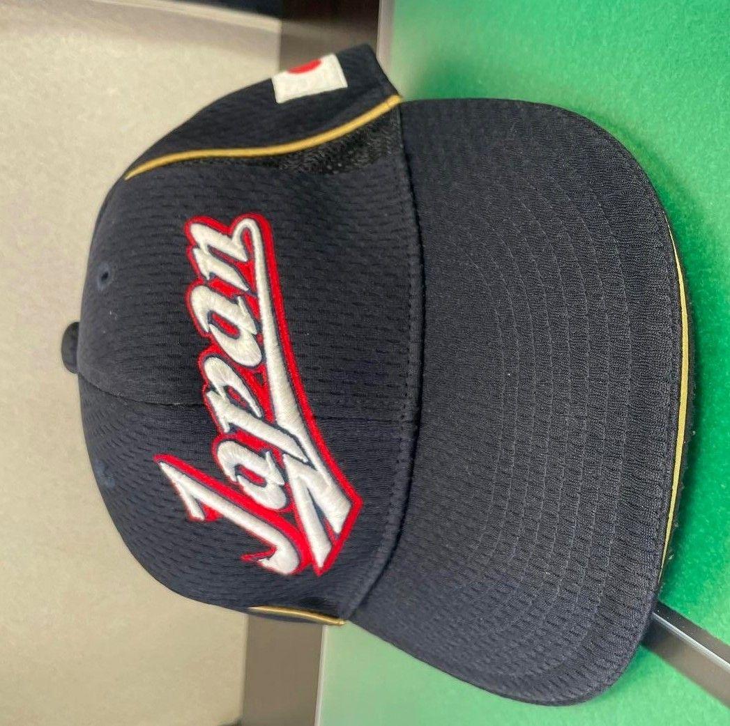 MIZUNOPRO ジャパン 日本代表 ミズノプロ JAPAN プロコレクション